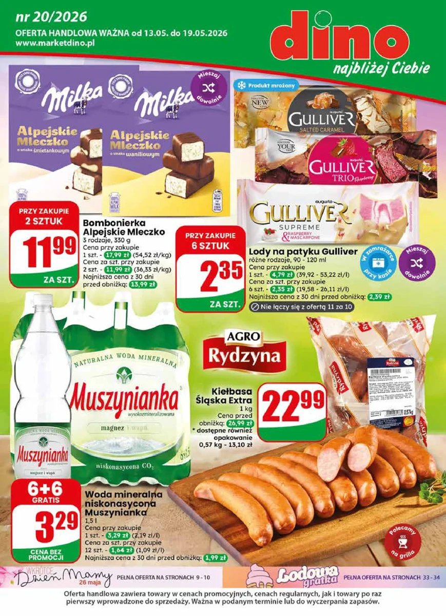 Strona 1 z gazetki Dino