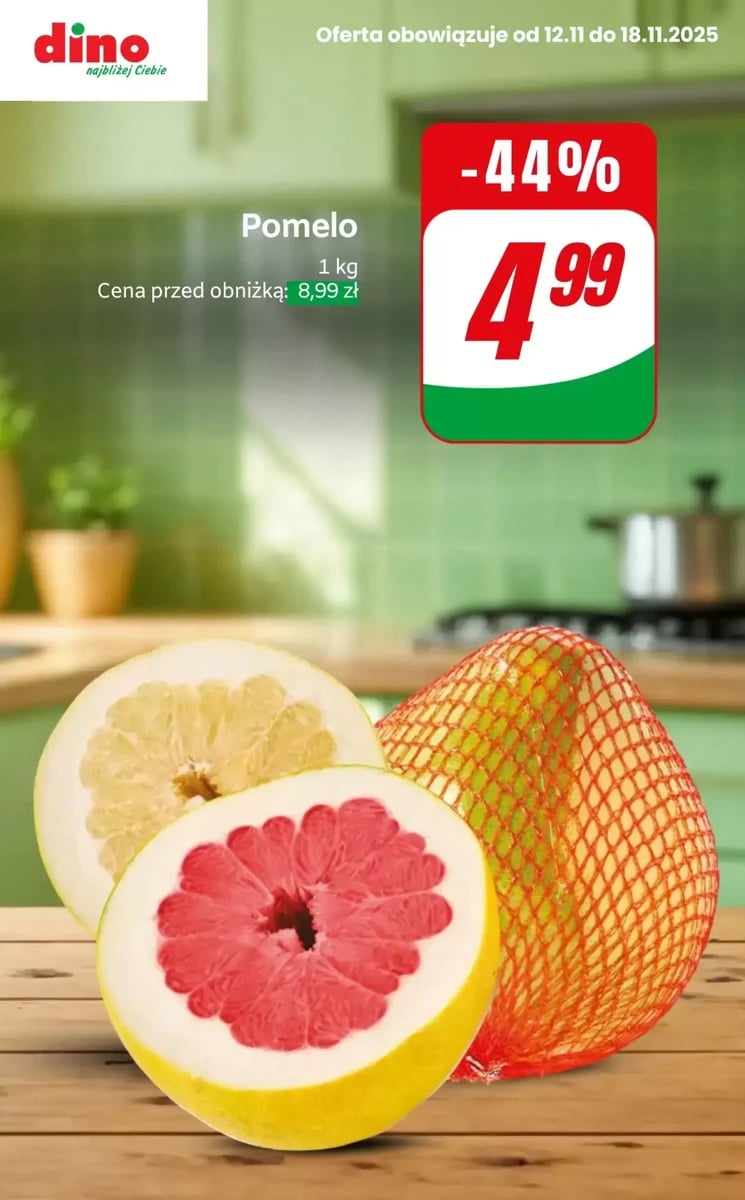 Strona 9 z gazetki Dino