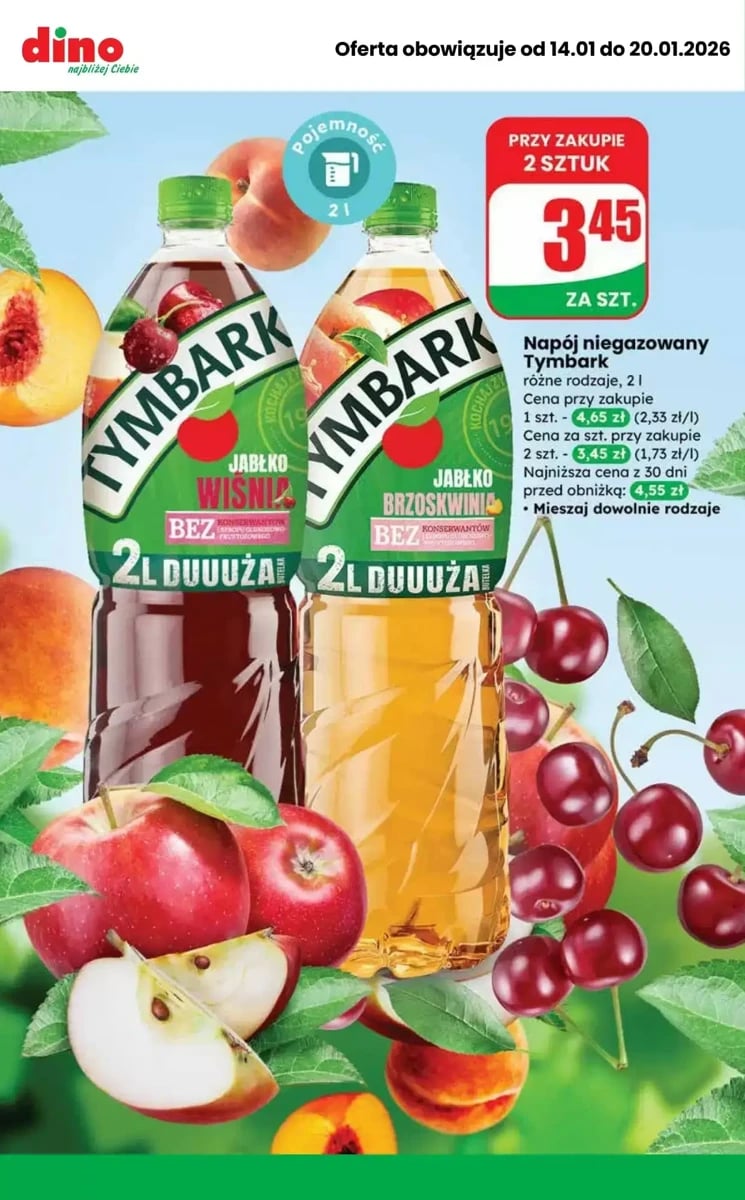 Strona 3 z gazetki Dino