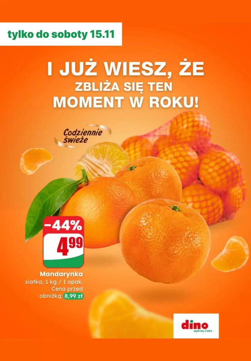 Strona 4 z gazetki Dino