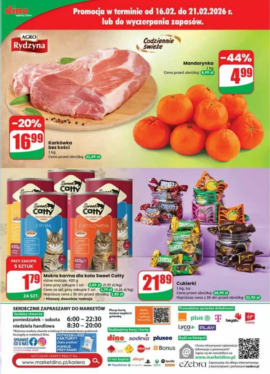 Strona 63 z gazetki Dino