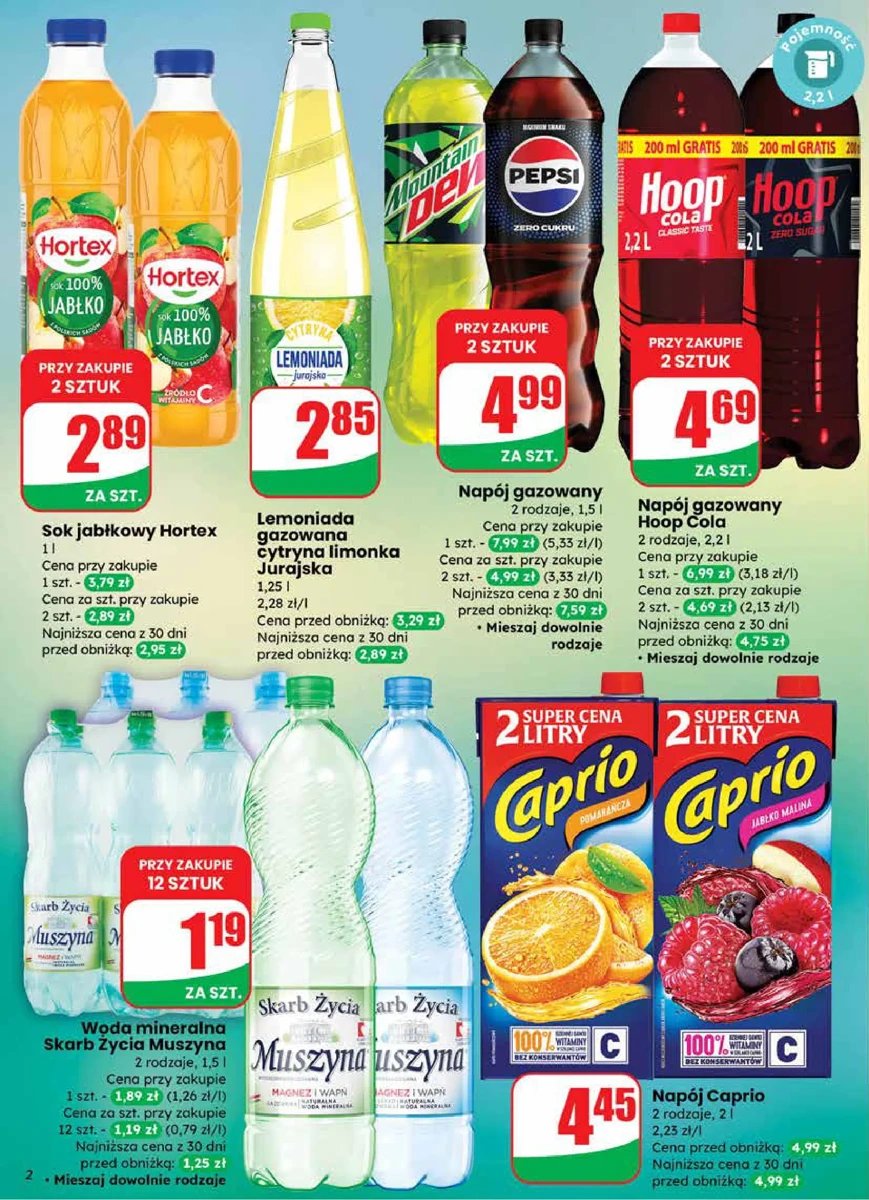 Strona 2 z gazetki Dino