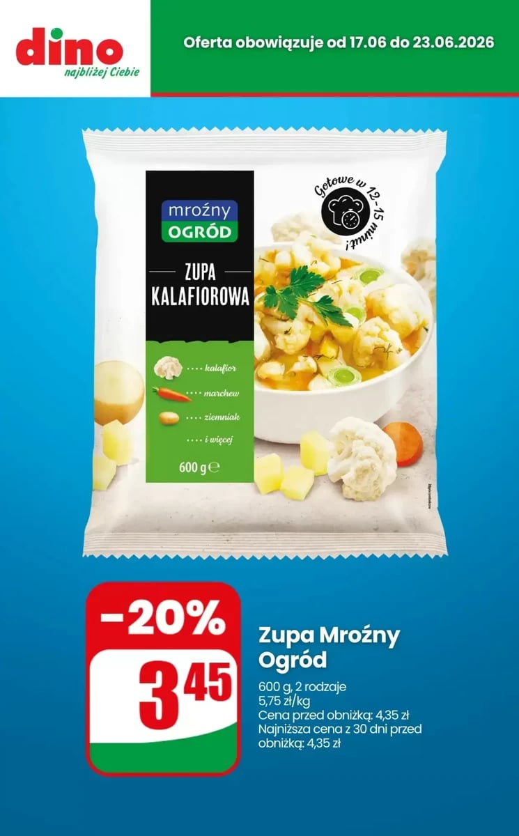 Strona 10 z gazetki Dino
