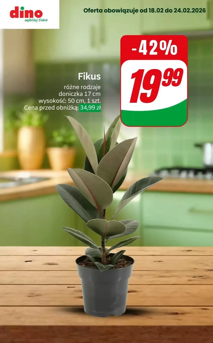 Strona 7 z gazetki Dino