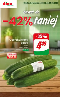 Gazetka Dino – 19.02.2026 – 24.02.2026