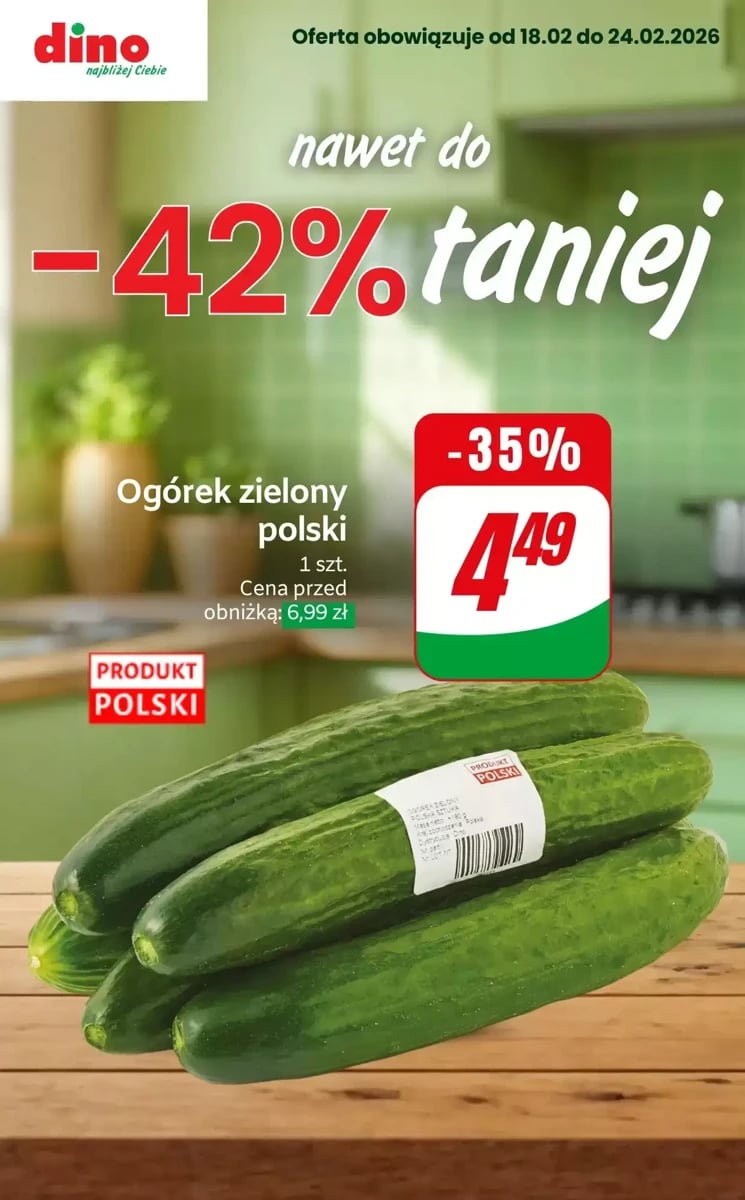 Strona 1 z gazetki Dino