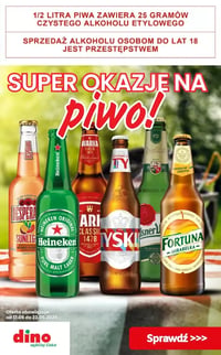 Gazetka Dino – 19.06.2026 – 23.06.2026