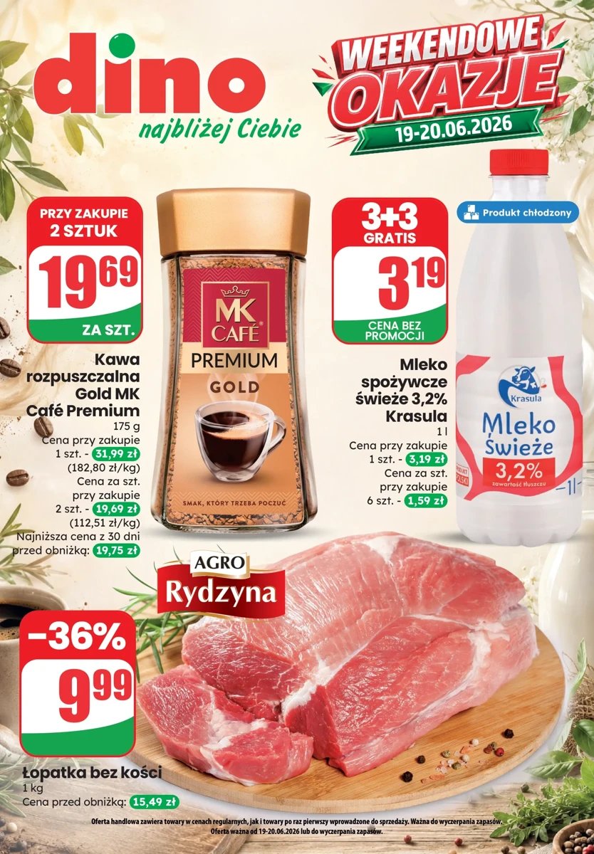 Strona 1 z gazetki Dino