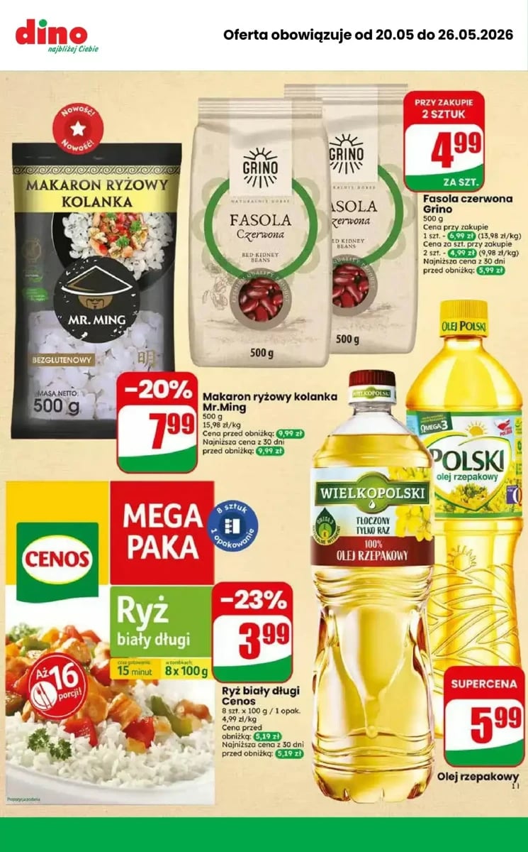 Strona 9 z gazetki Dino