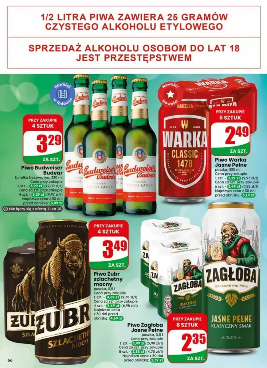 Strona 66 z gazetki Dino