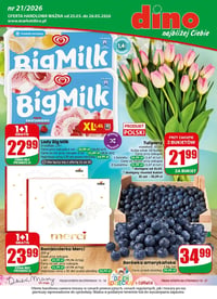 Gazetka Dino – 20.05.2026 – 26.05.2026