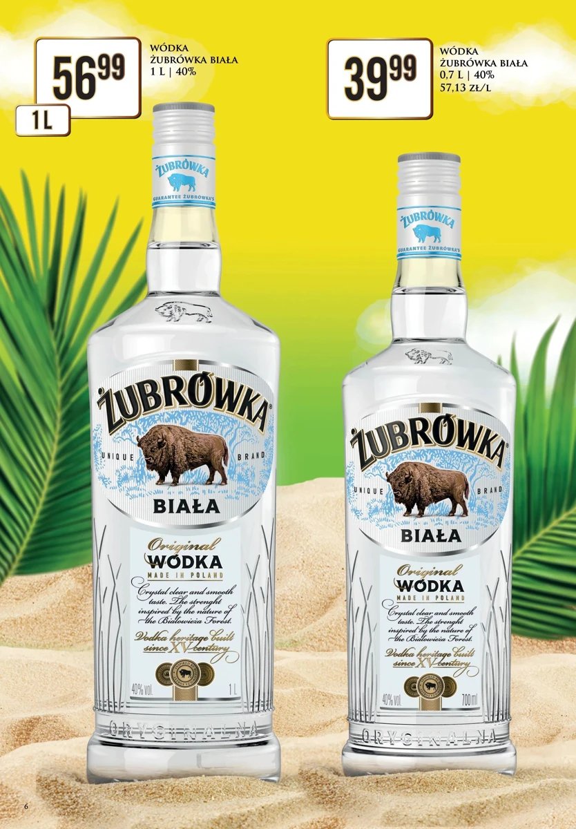 Strona 6 z gazetki Dino