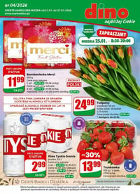 Gazetka Dino – 21.01.2026 – 28.01.2026