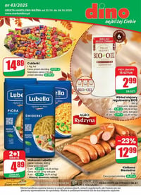 Gazetka Dino – 22.10.2025 – 28.10.2025