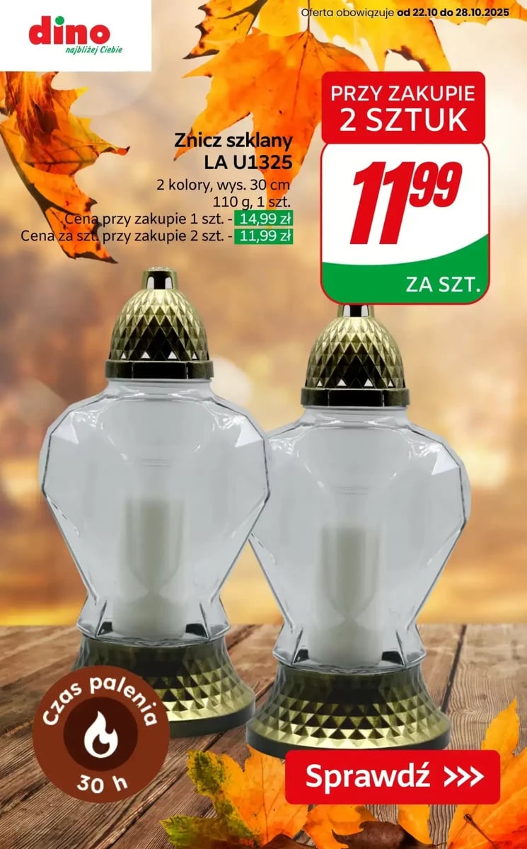 Strona 6 z gazetki Dino
