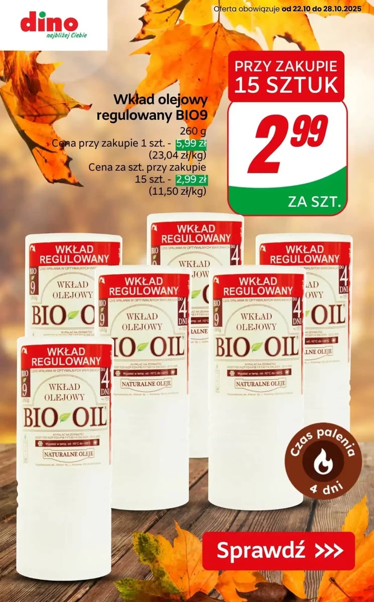 Strona 7 z gazetki Dino