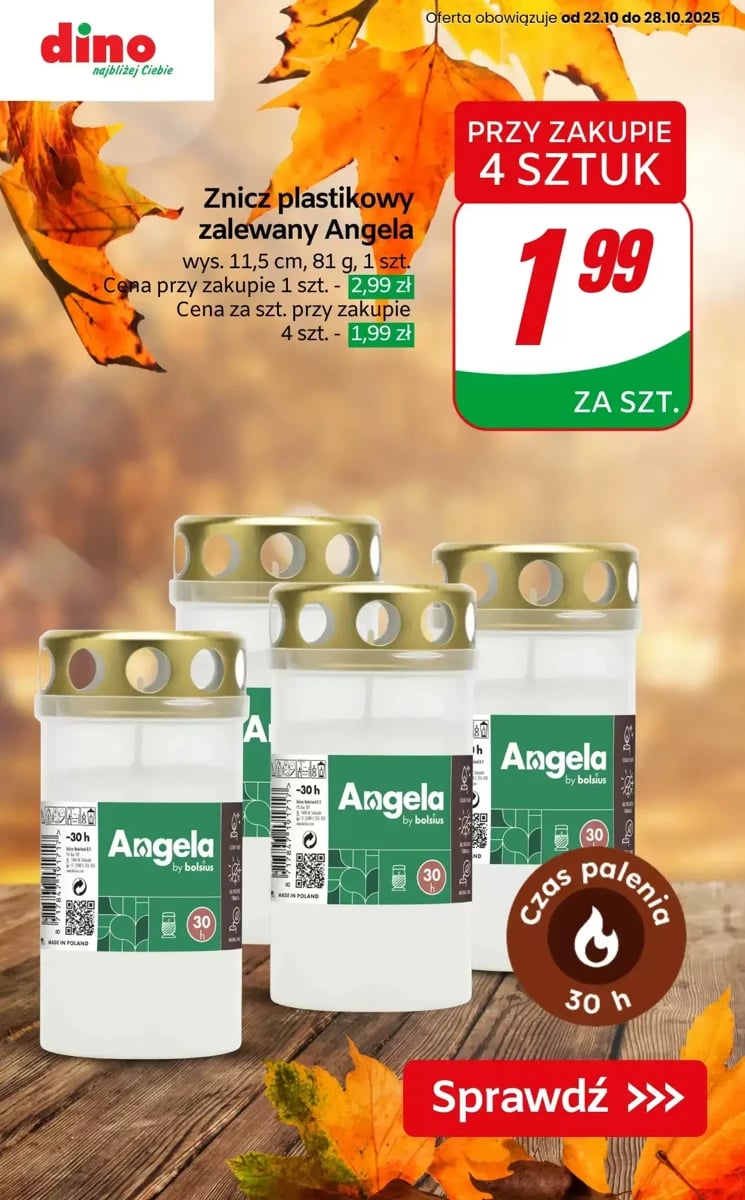 Strona 9 z gazetki Dino