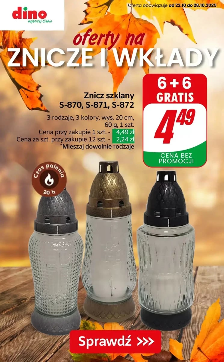 Strona 1 z gazetki Dino