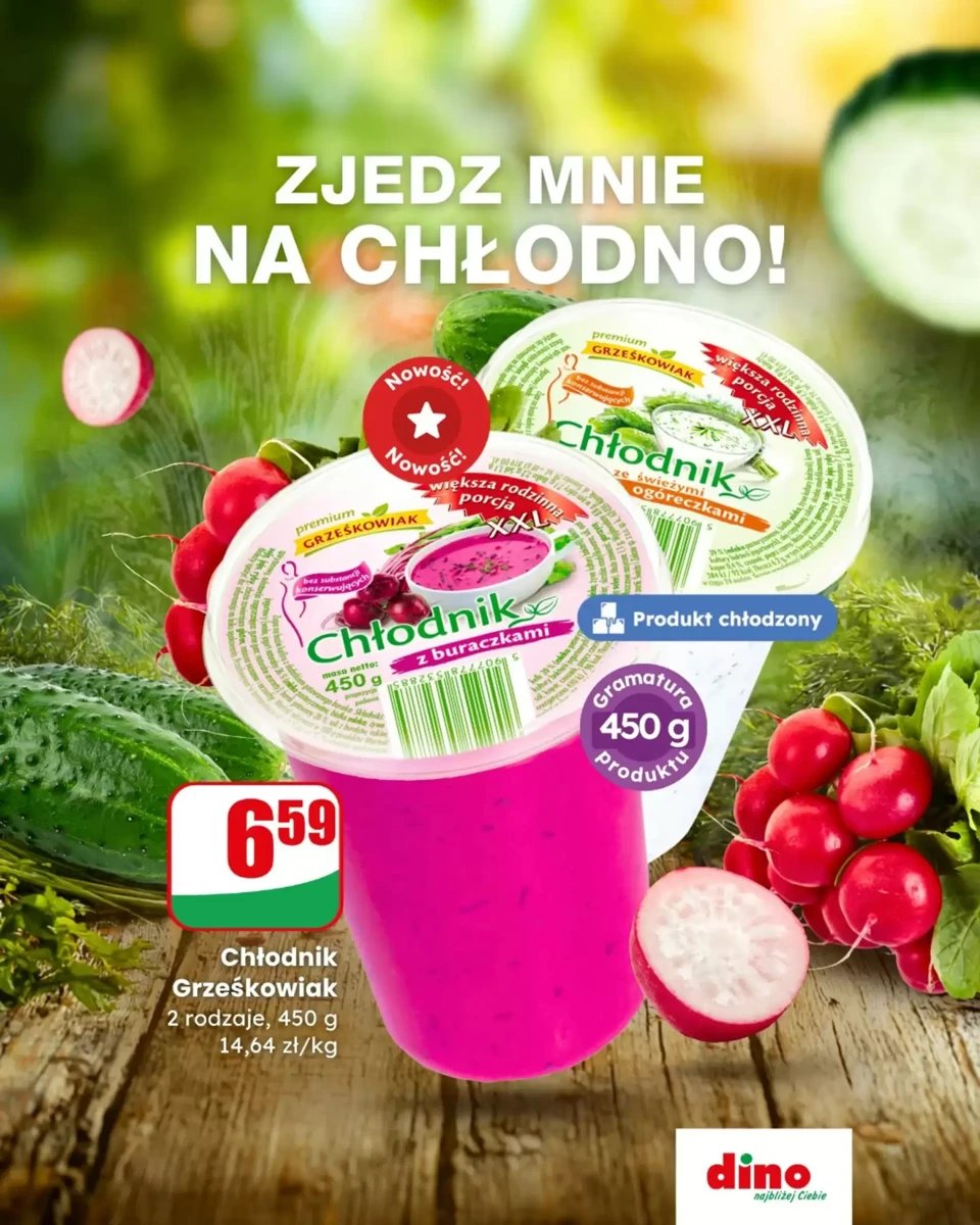 Strona 1 z gazetki Dino