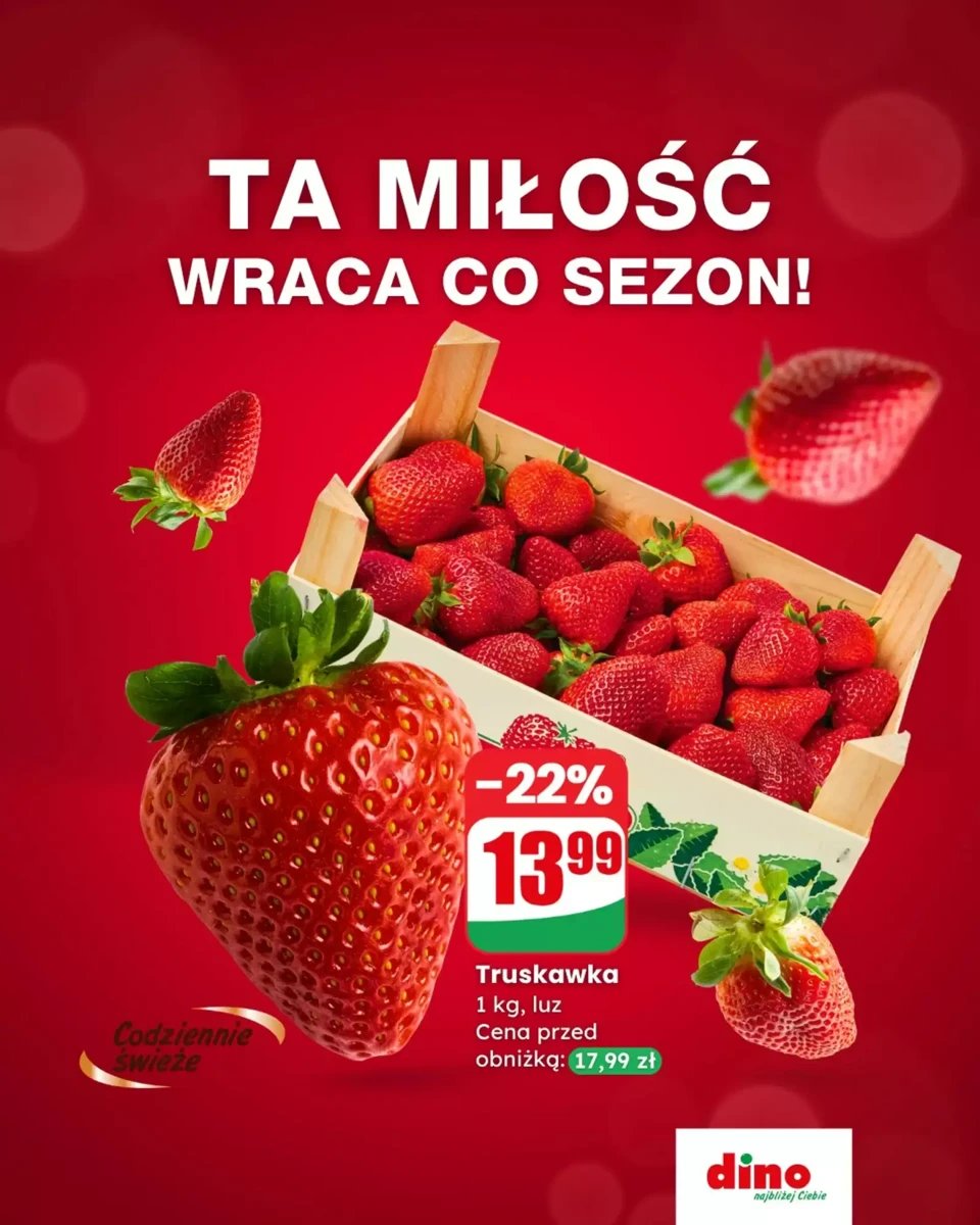 Strona 5 z gazetki Dino