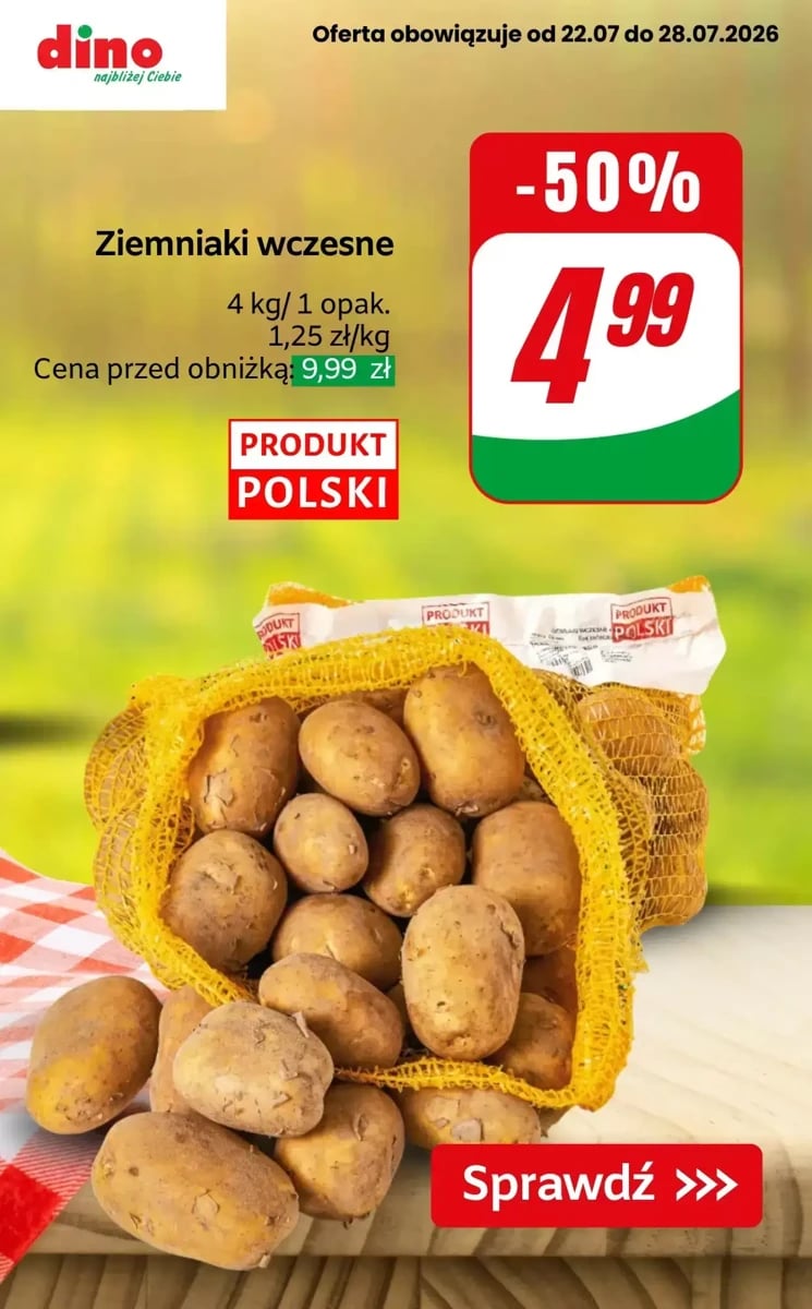 Strona 6 z gazetki Dino