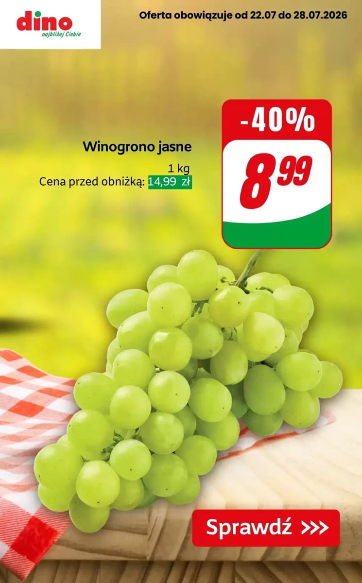 Strona 9 z gazetki Dino