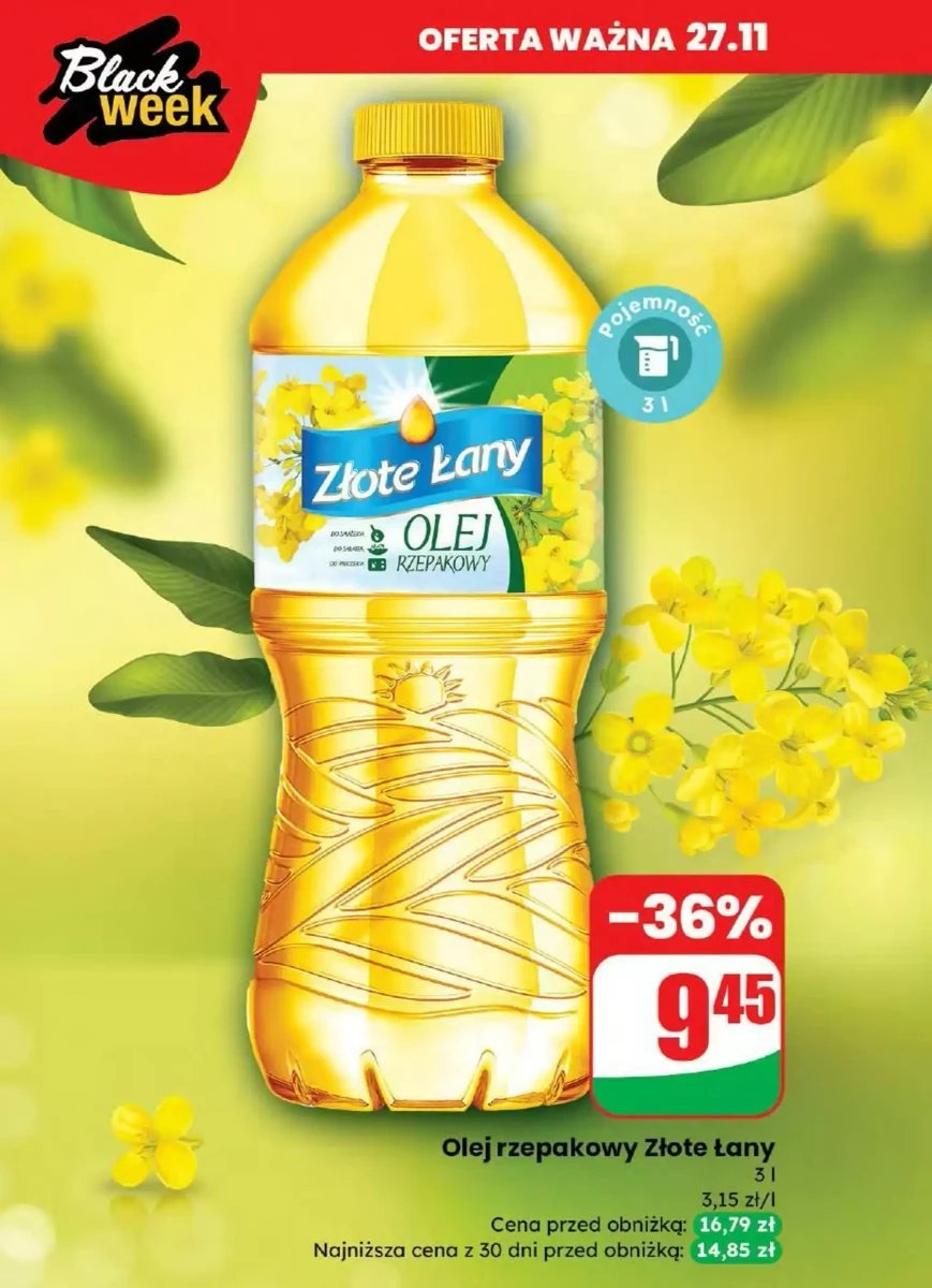 Strona 9 z gazetki Dino