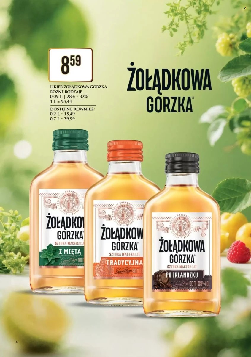 Strona 6 z gazetki Dino