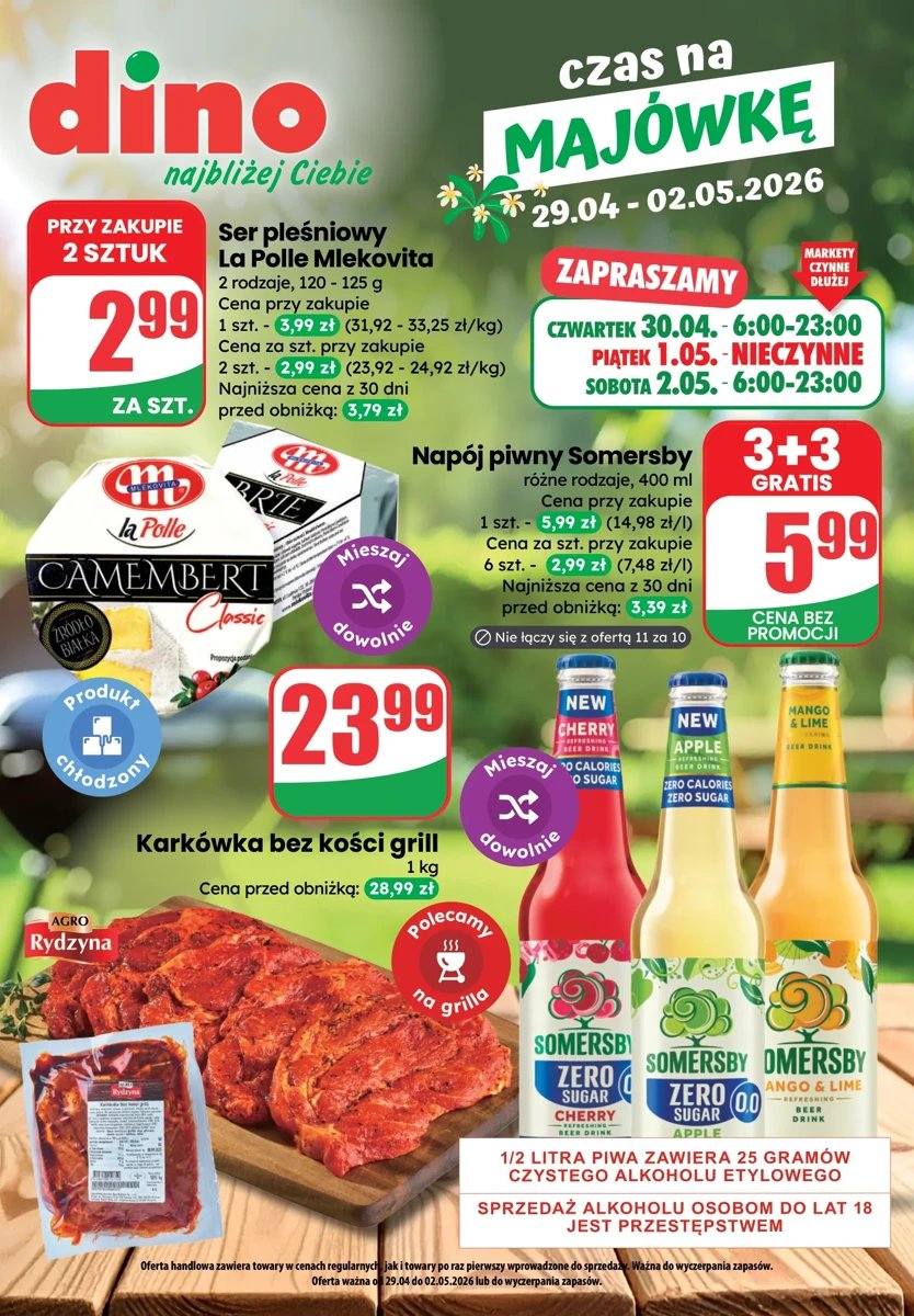 Strona 1 z gazetki Dino