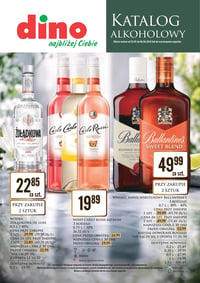 Gazetka Dino – 29.05.2026 – 06.06.2026