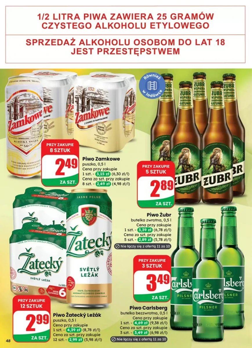 Strona 48 z gazetki Dino