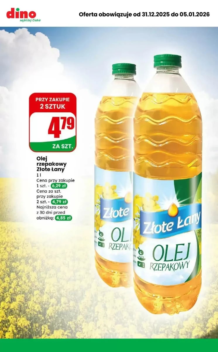 Strona 2 z gazetki Dino