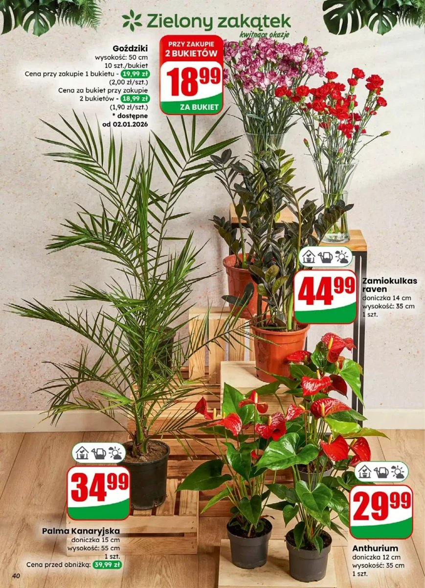 Strona 40 z gazetki Dino