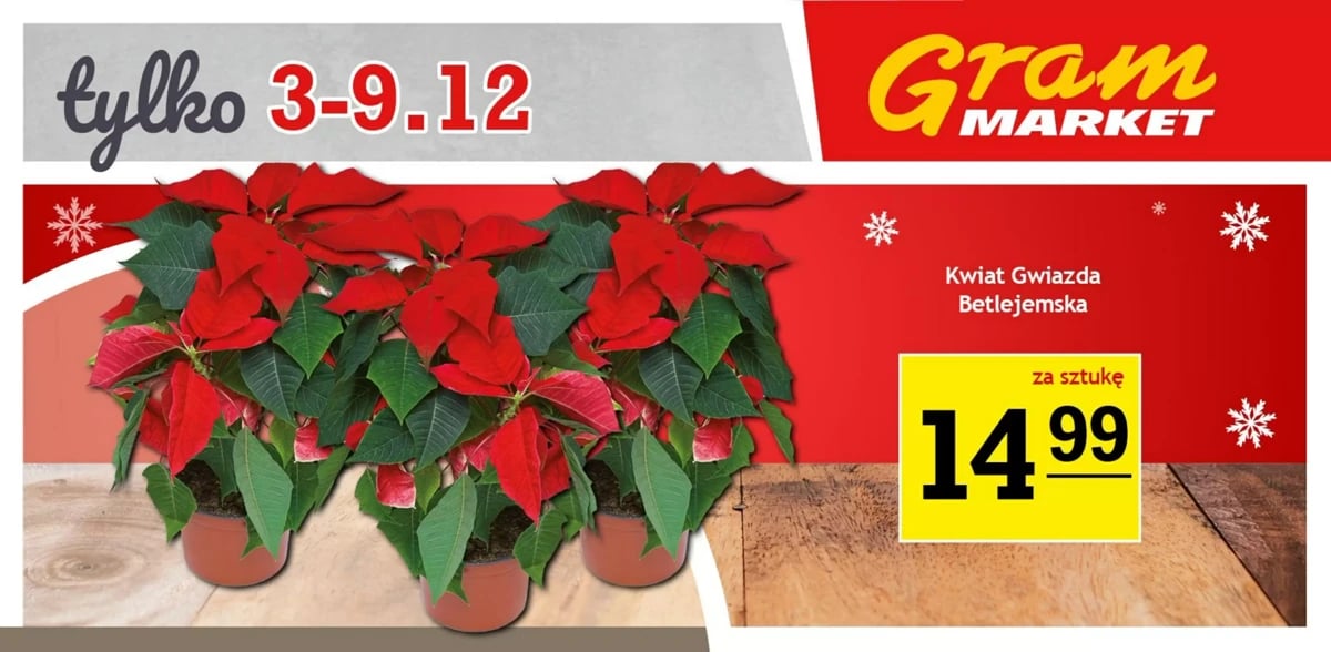 Strona 3 z gazetki Gram Market
