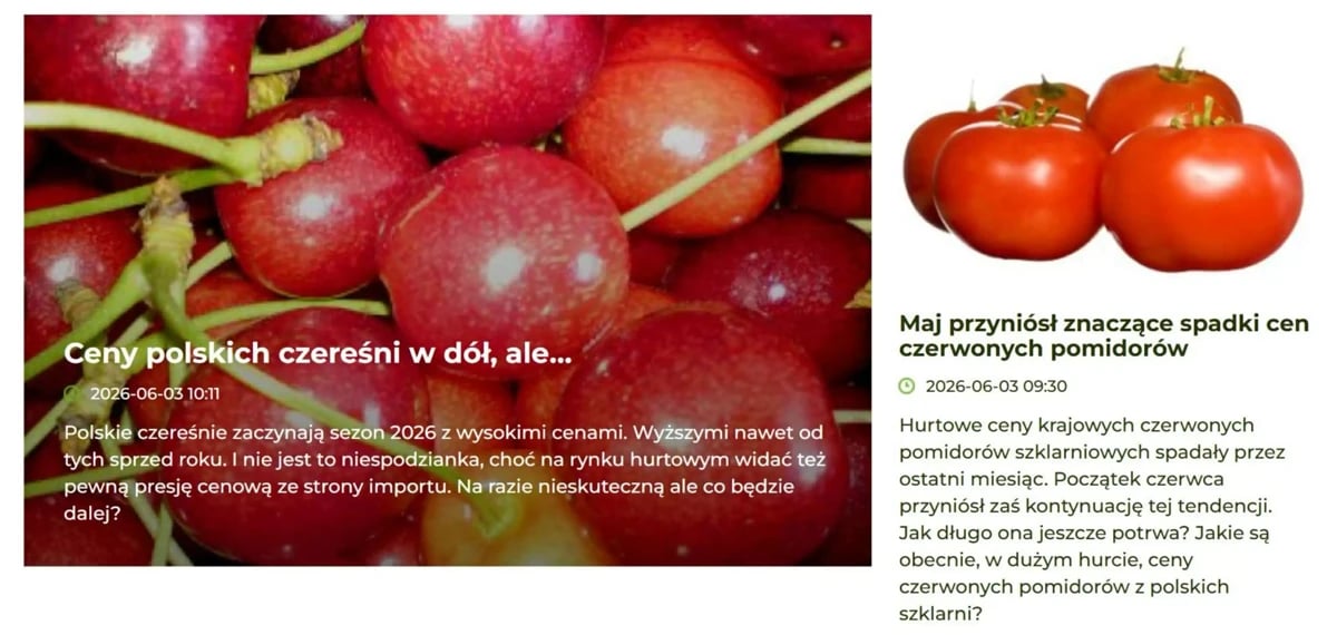 Strona 1 z gazetki H&M
