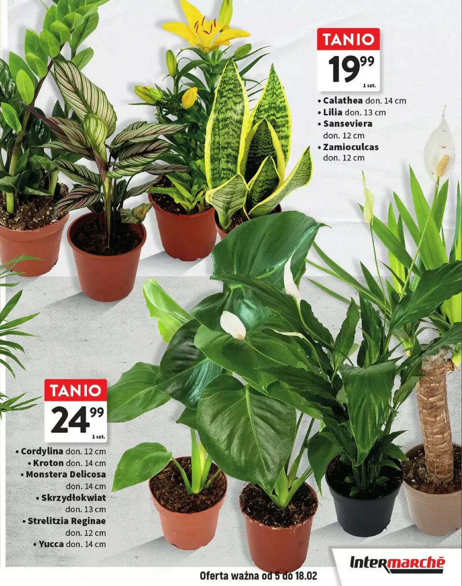 Strona 7 z gazetki Intermarche