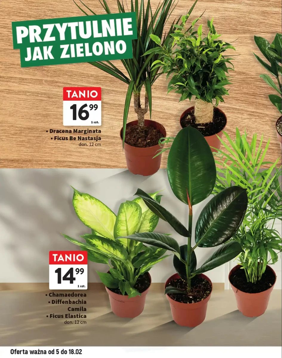 Strona 6 z gazetki Intermarche