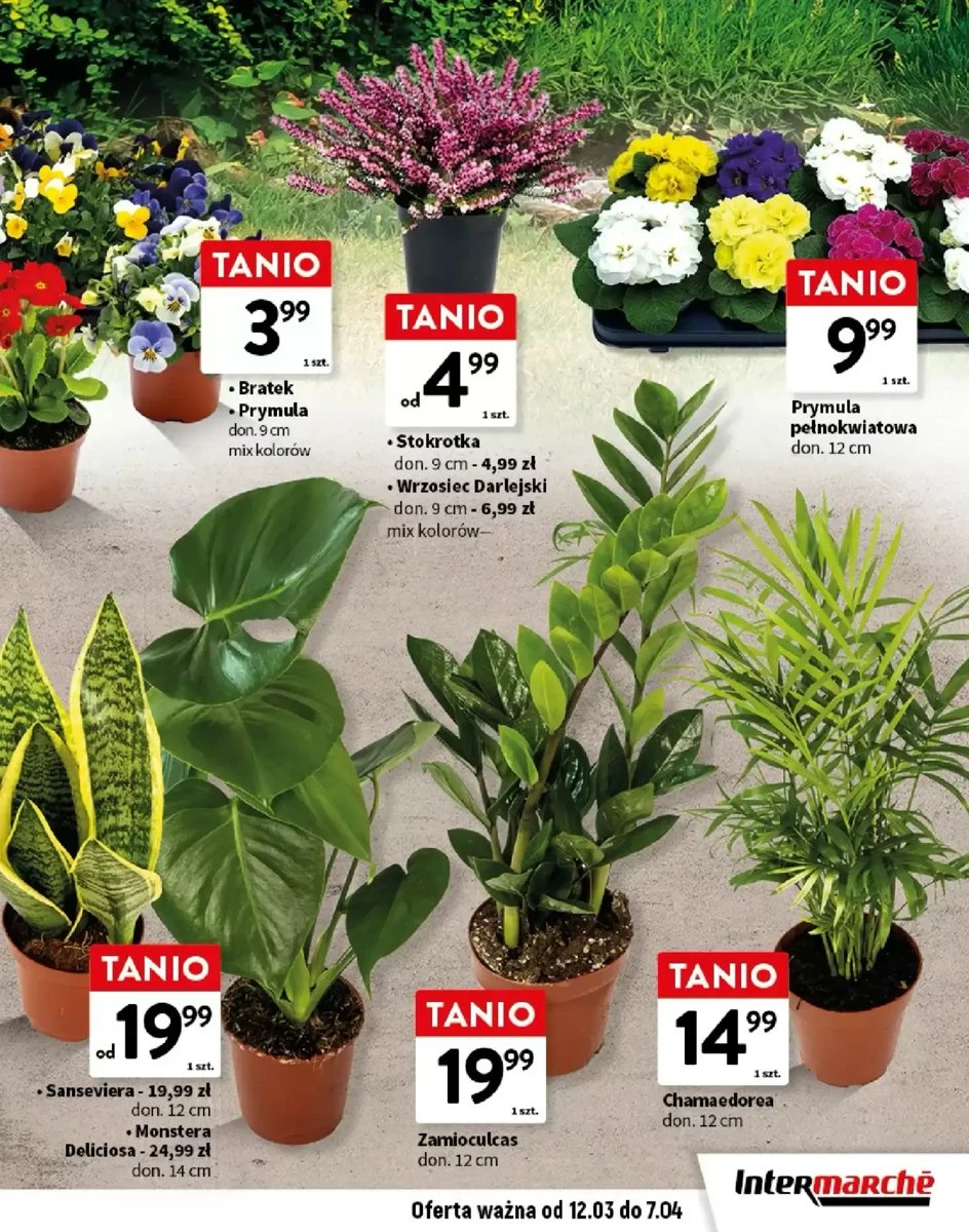 Strona 13 z gazetki Intermarche