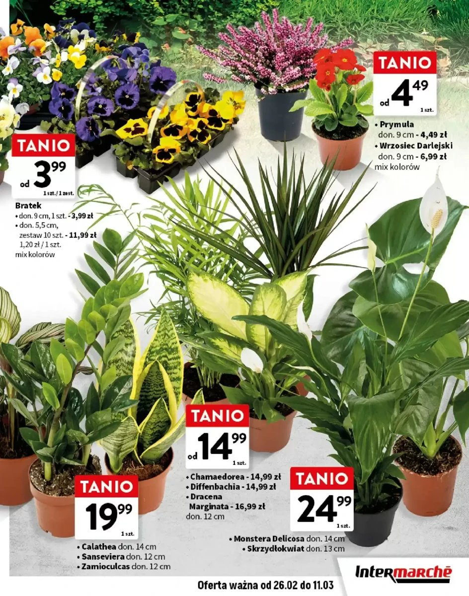 Strona 7 z gazetki Intermarche