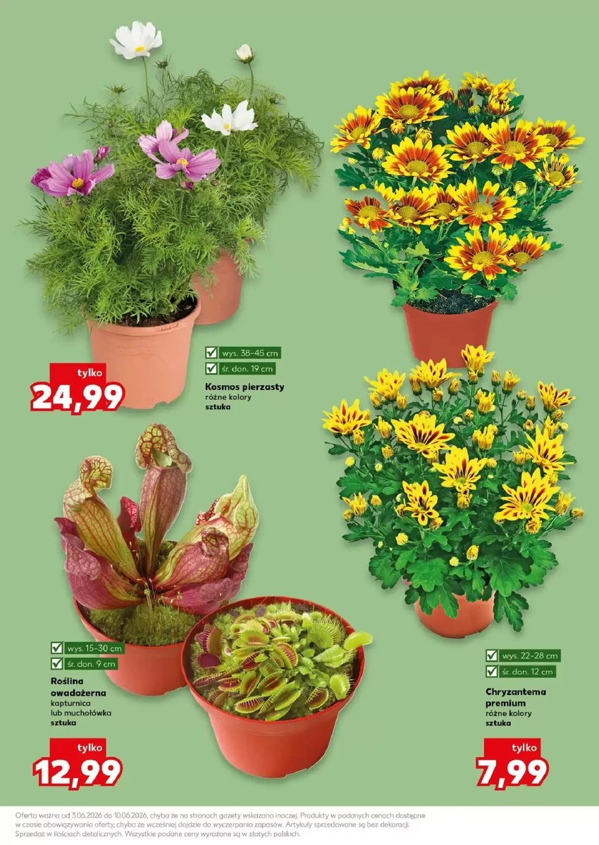 Strona 11 z gazetki Kaufland