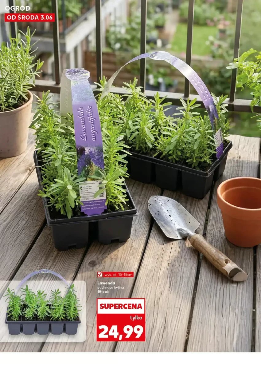 Strona 10 z gazetki Kaufland
