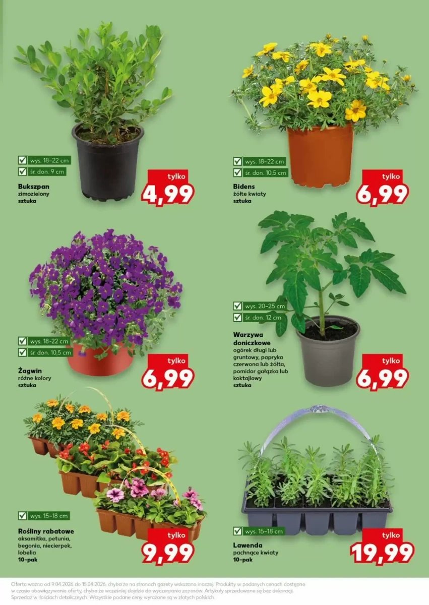 Strona 11 z gazetki Kaufland