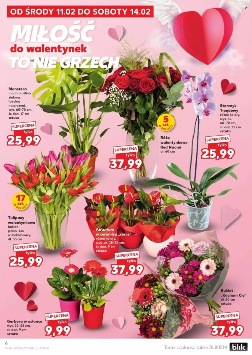 Strona 6 z gazetki Kaufland