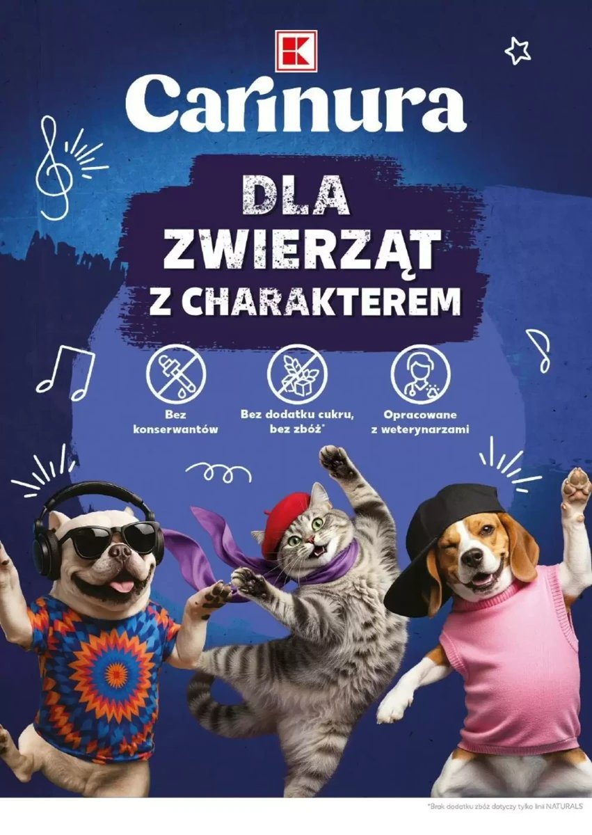 Strona 22 z gazetki Kaufland