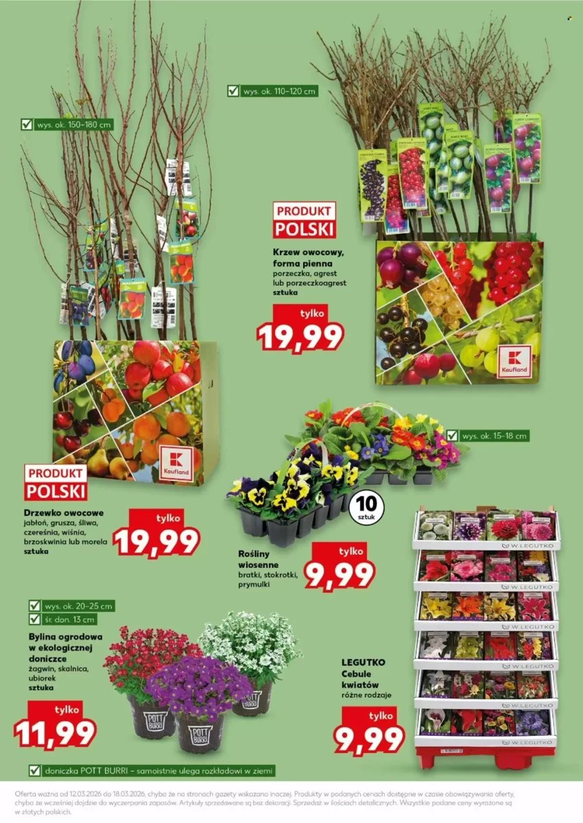 Strona 13 z gazetki Kaufland