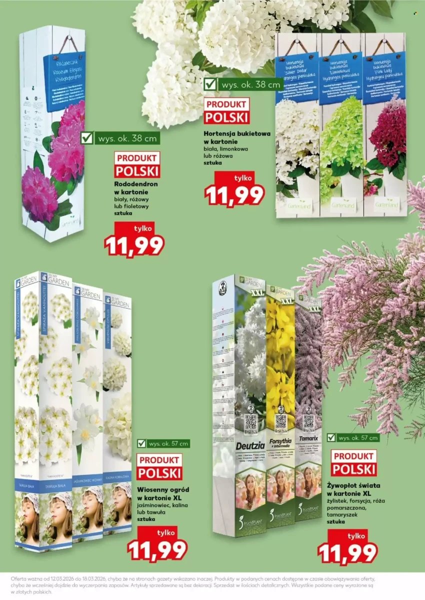Strona 11 z gazetki Kaufland