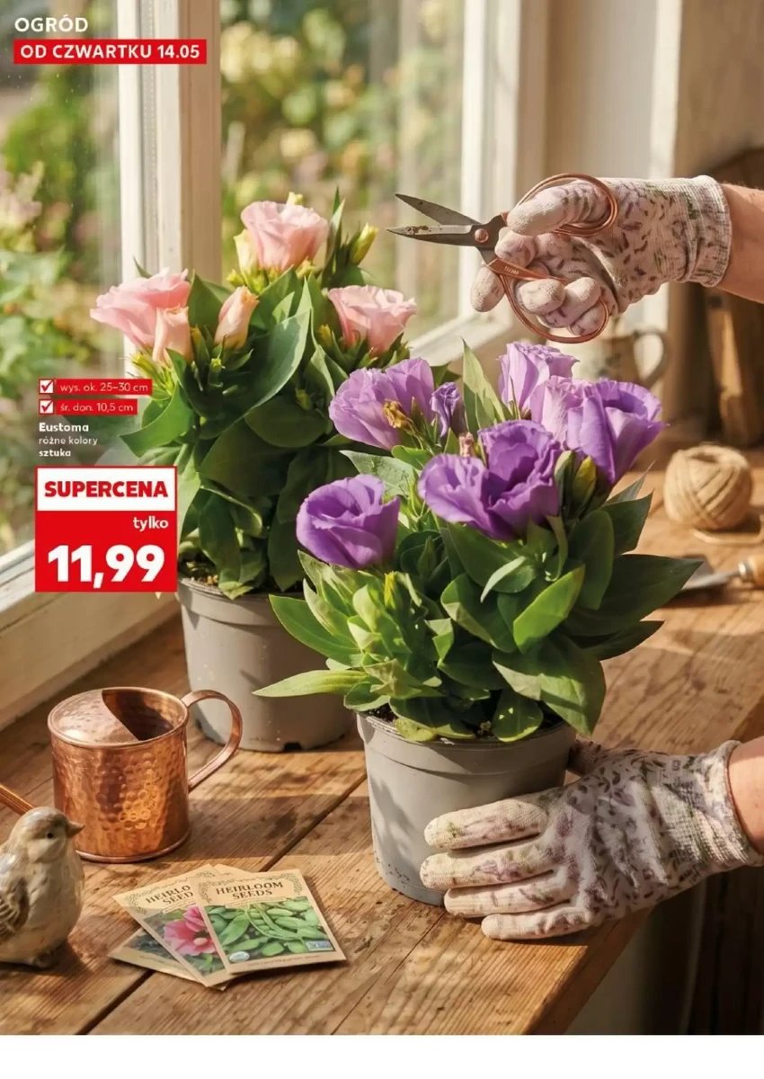 Strona 10 z gazetki Kaufland