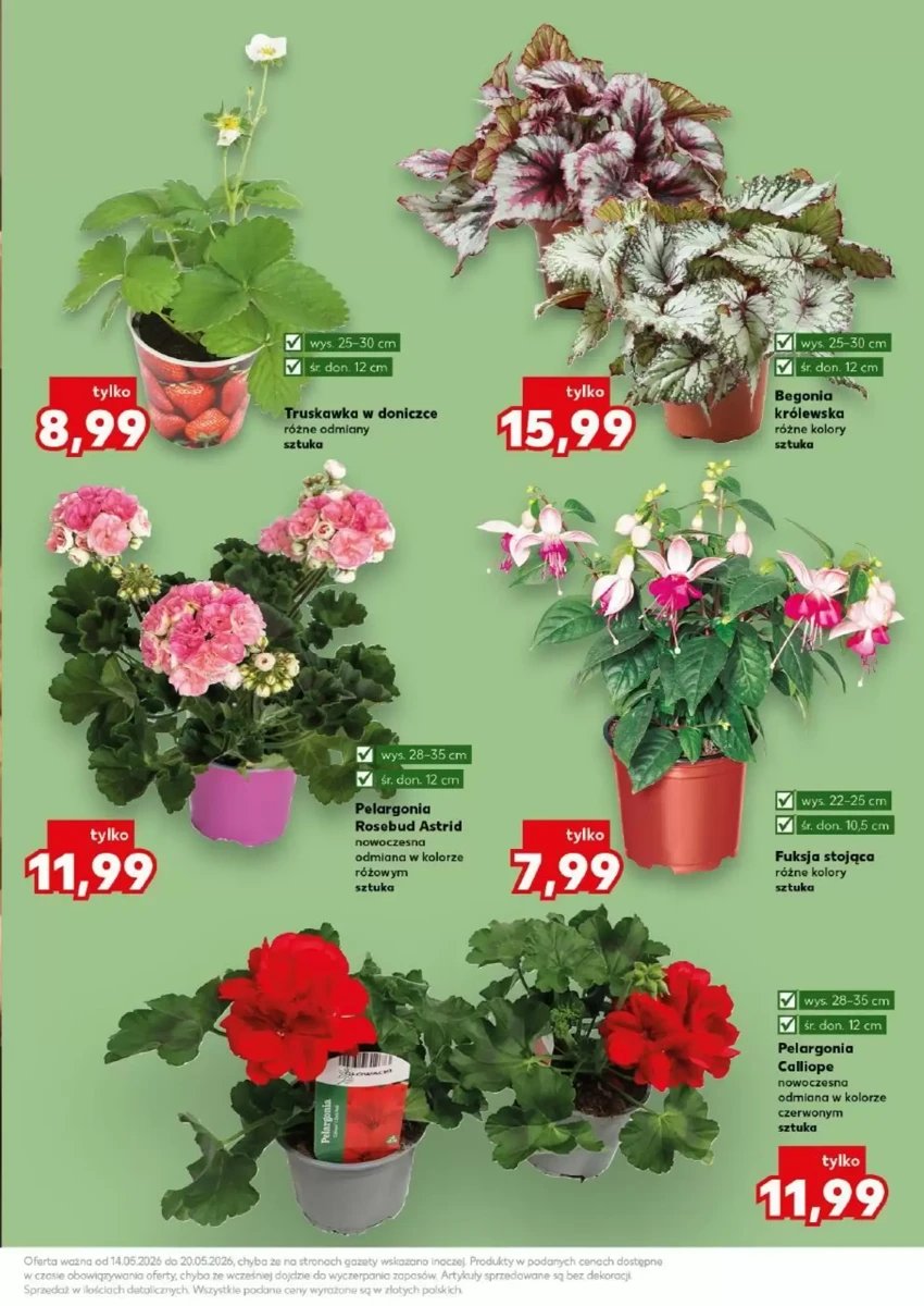 Strona 11 z gazetki Kaufland