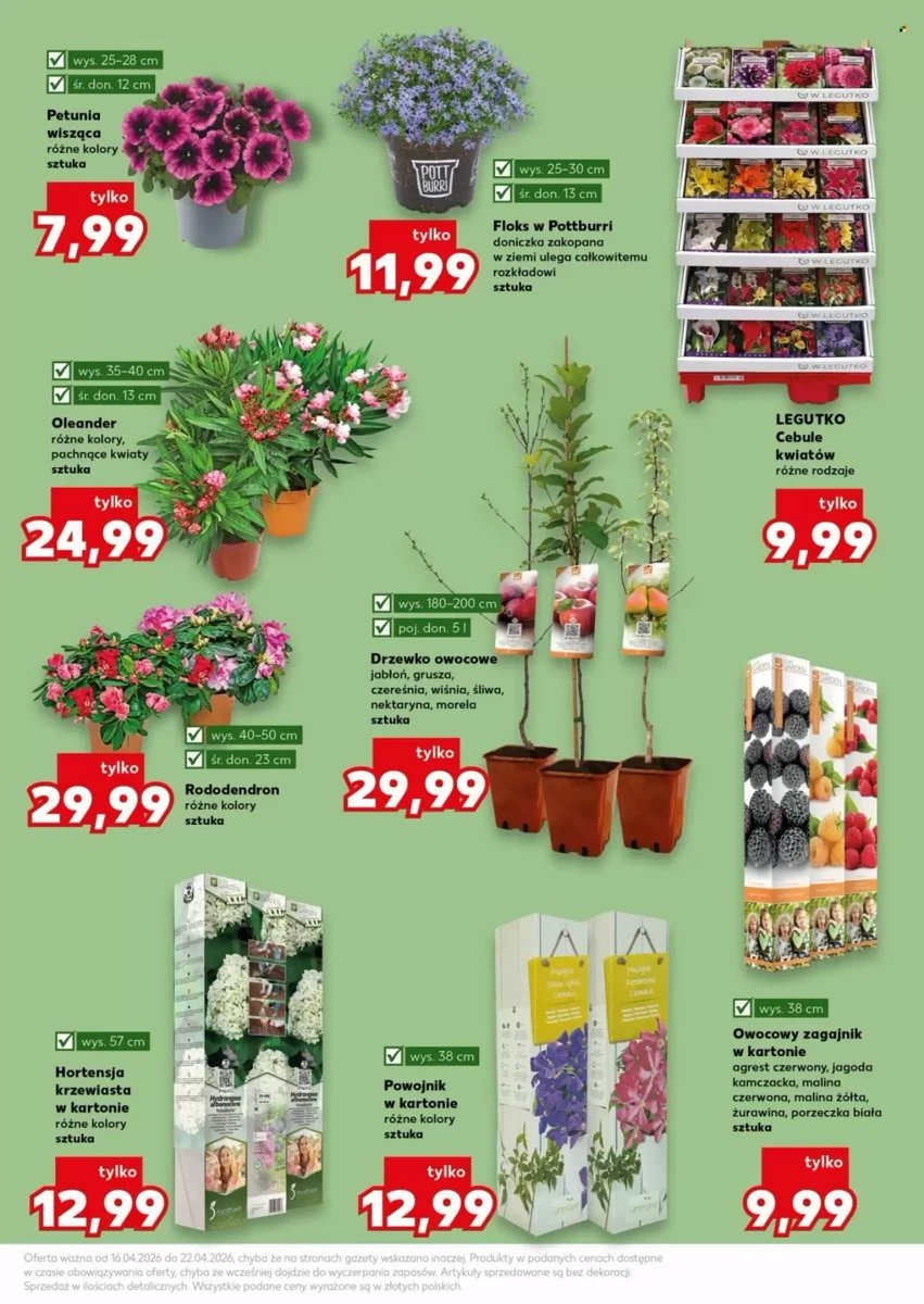 Strona 11 z gazetki Kaufland