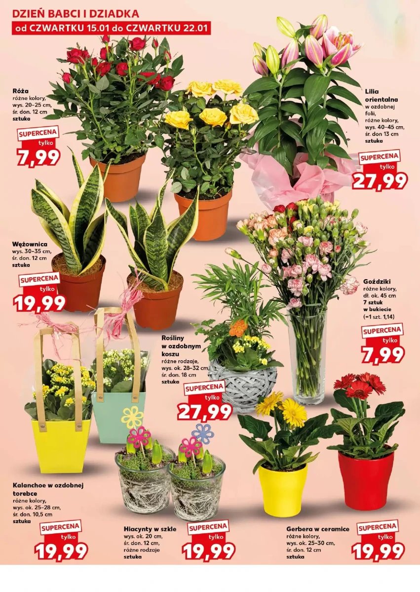 Strona 6 z gazetki Kaufland